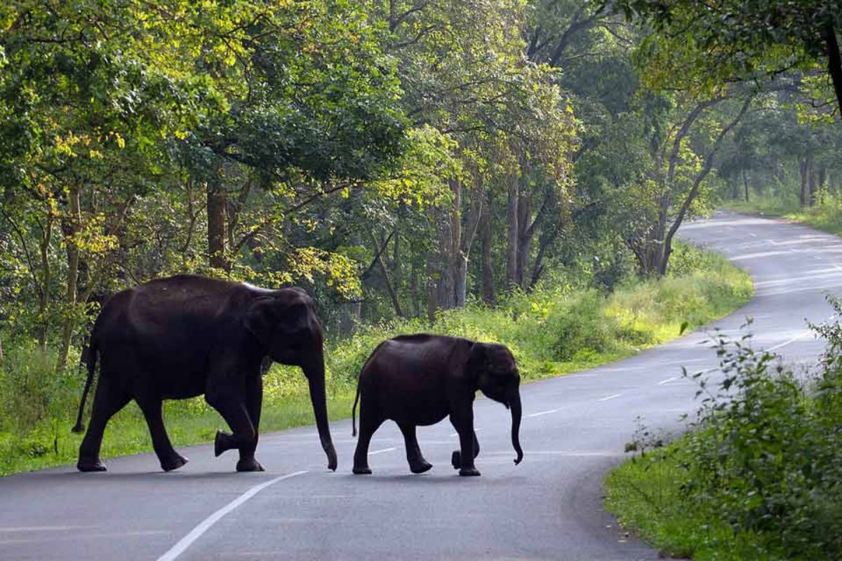 Praveen Cabs Wayanad Package